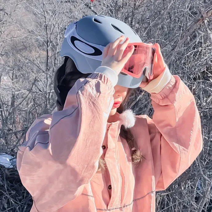 新世纪恐龙冒险